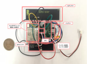 IoT