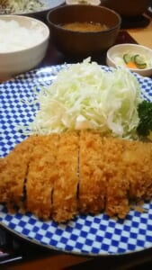 新卒採用　先輩紹介